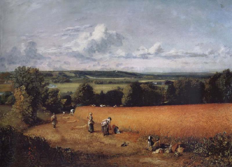 John Constable The wheatfield Spain oil painting art